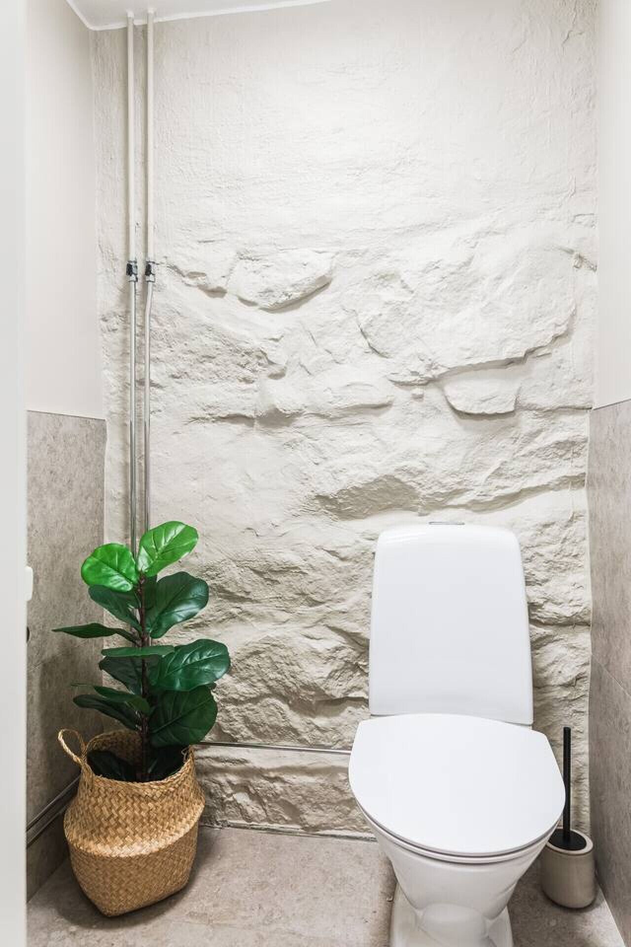 A bathroom with a white textured wall, a white toilet, a green plant in a woven basket, and a shower area.