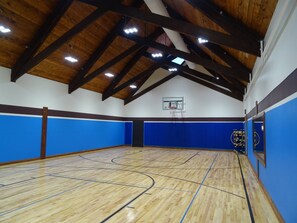 Sport court - Log Home, game room/hot tub/firepit (Galena)