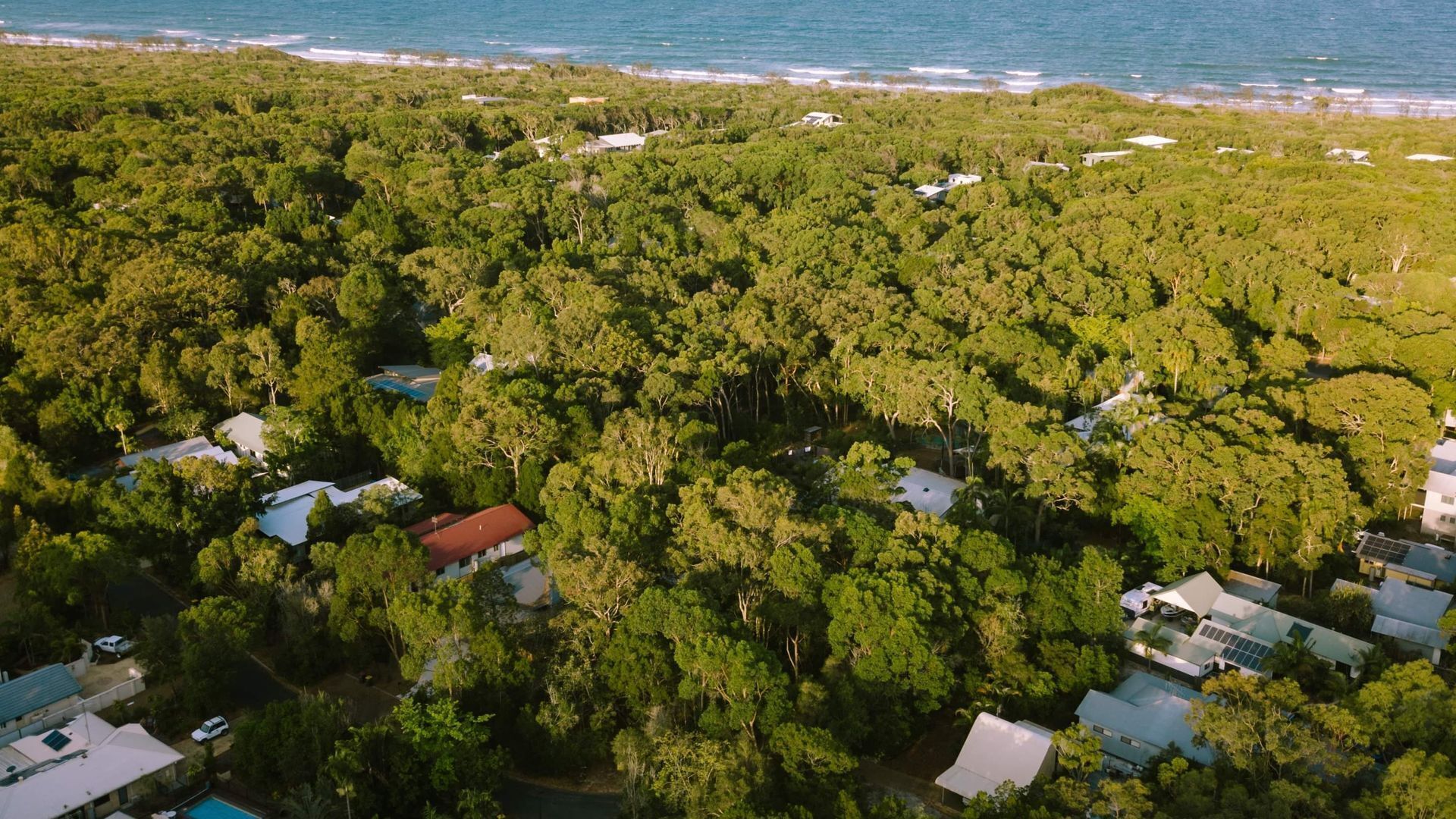 Ein Luftbild eines Wohngebiets mit Häusern, umgeben von dichtem Wald, einem Strand im Hintergrund und einem klaren Himmel.