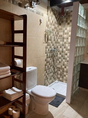 Shower, hair dryer, towels, toilet paper