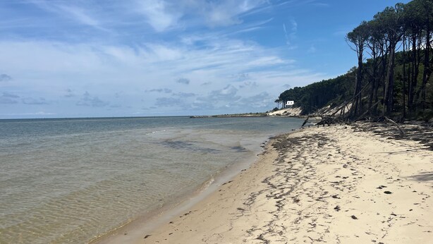 Une plage avec une eau claire, un rivage sablonneux et une zone boisée, avec des bâtiments visibles au loin.