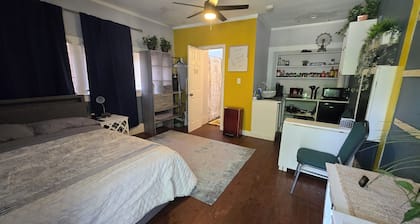 Fabulous studios Apartment few blocks from UNT. Centrally located