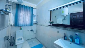 Shower, towels, soap, toilet paper