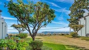 Un jardin bien entretenu, avec un grand arbre, une pelouse et une vue sur l’océan.
