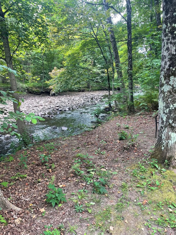 المنطقة المحيطة بالمنشأة