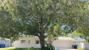 Un quartier résidentiel avec un grand arbre, un garage et une boîte aux lettres.