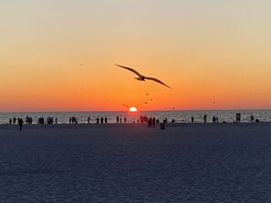 A beach scene with a sunset, people, and birds.