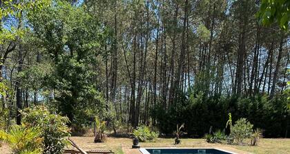 HĂ©bergement P'TIT GĂTE Domaine de Pinsol