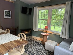 TV, fireplace - Luxurious Chalet in Fairfax--great amenities & views, potential to expand. (Fairfax)