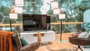 A modern living room with a large flat-screen TV, comfortable seating, and a glass railing overlooking a forested area. - 1 of a Kind! Largest Luxurious TRANSPARENT DOME in USA (Mars Hill)
