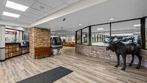 Zona de recepción con pared de piedra, banco de madera, mostrador y estatua de alce.