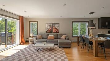 Smart TV, fireplace, video games, books