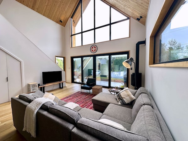 Smart TV, fireplace, books