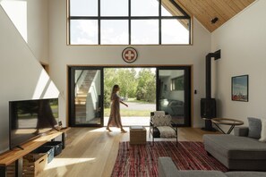 Smart-TV, Kamin