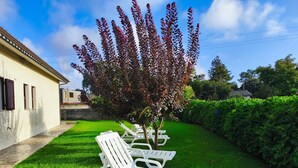 Un jardin avec un bâtiment blanc, un arbre et des chaises longues blanches.