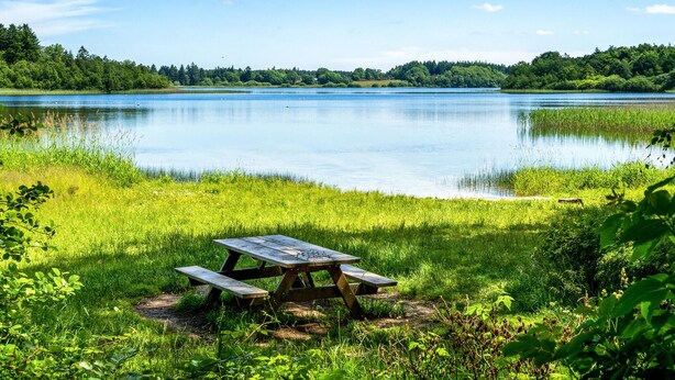 A picnic table by a lake with grassy banks and trees in the background. - 1 bedroom nice home in Hampen (Hampen)