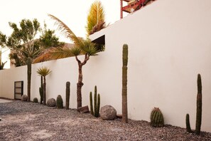 Terrain de l’hébergement 