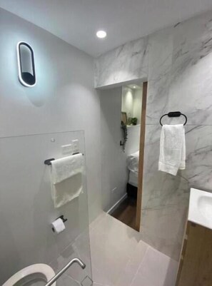 Shower, towels, toilet paper