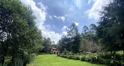 Casa Agapandos en medio del bosque