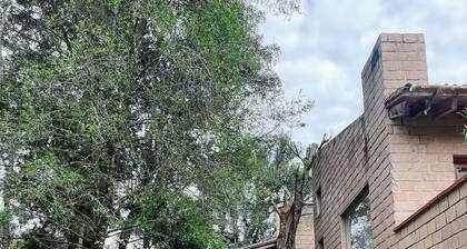 Casa Agapandos en medio del bosque