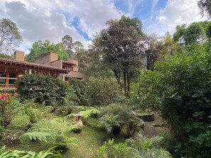 Terrain de l’hébergement 