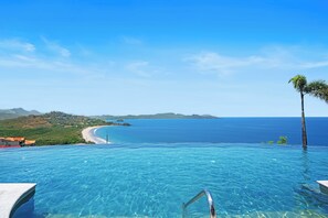 Uma piscina infinita com água azul cristalina, uma palmeira e vista para a praia e oceano.