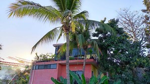 Un edificio de dos pisos con fachada rosa, rodeado de abundante vegetación que incluye palmeras y plantas de banano.