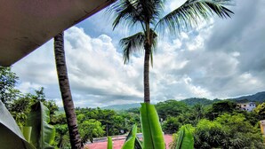 Vista de un paisaje exuberante, verde, con palmeras y abundante follaje.