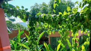 Un jacuzzi rodeado de exuberante vegetación, con una vista despejada del paisaje circundante.