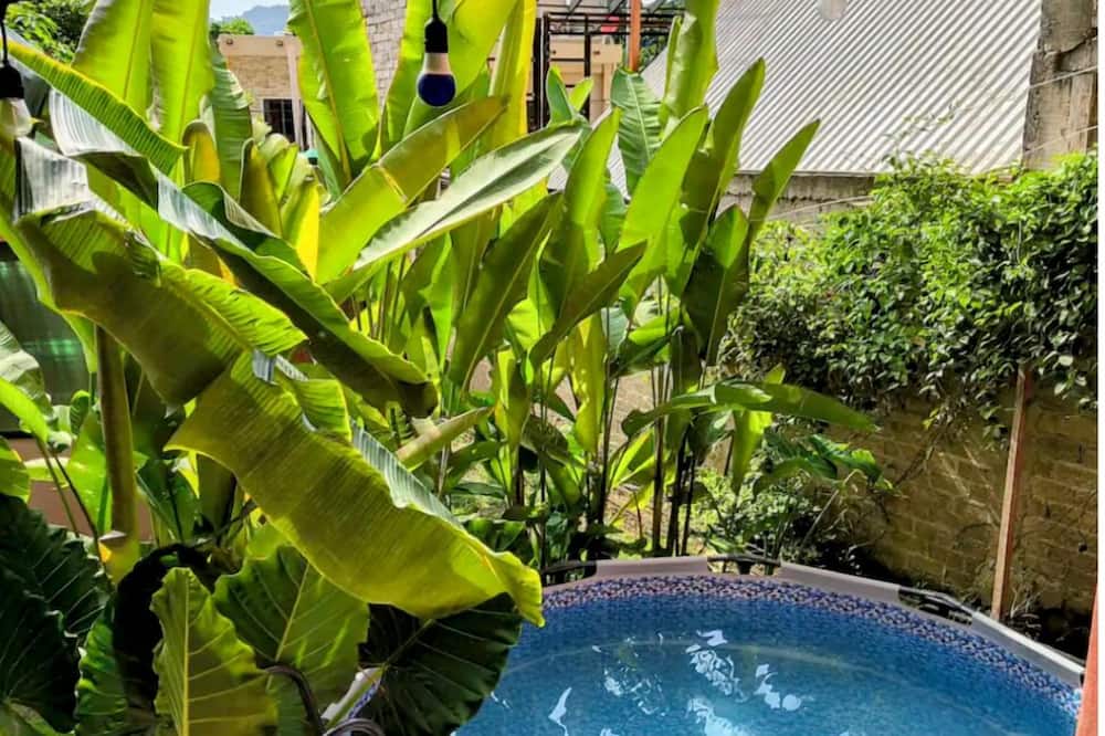 CASA ROSA SAYULITA