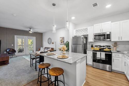 Apartamento de lujo, 1 habitación, Se admiten mascotas | Cocina privada | Frigorífico grande, microondas, horno y placa de cocina