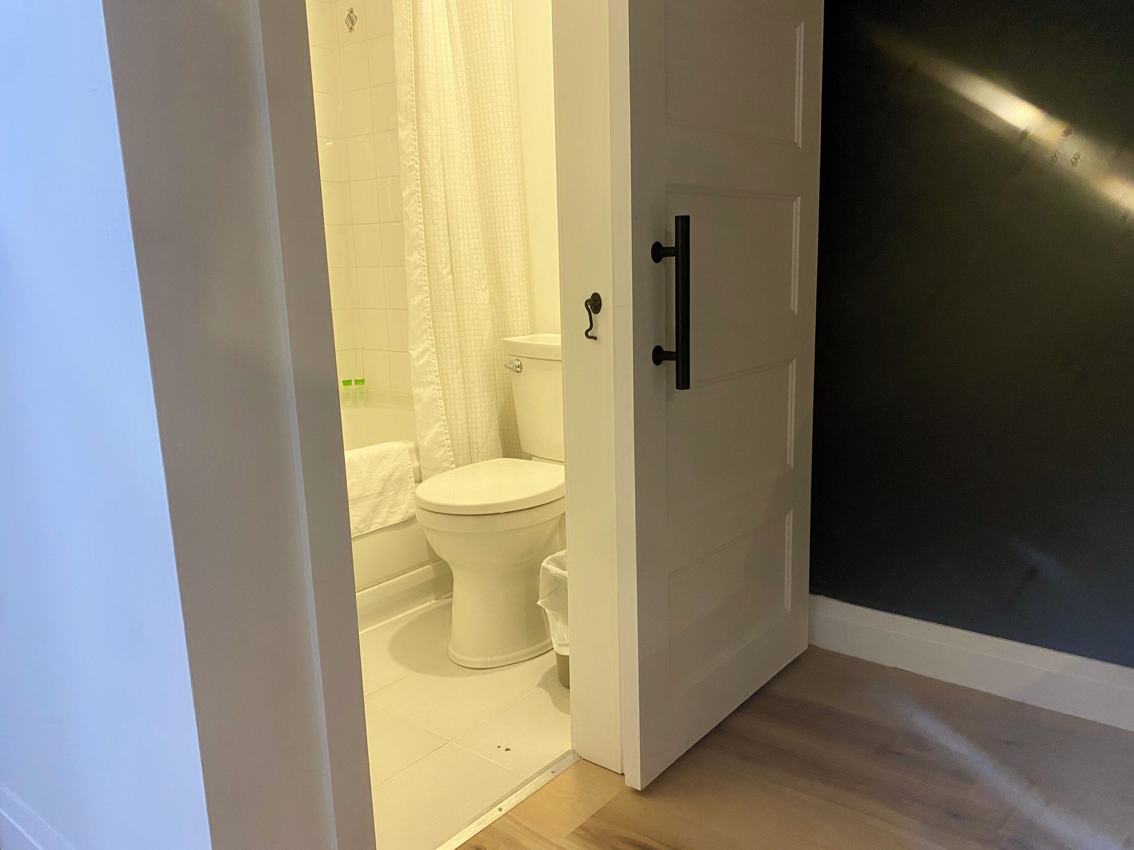 Un baño con inodoro, cortina de ducha y puerta.