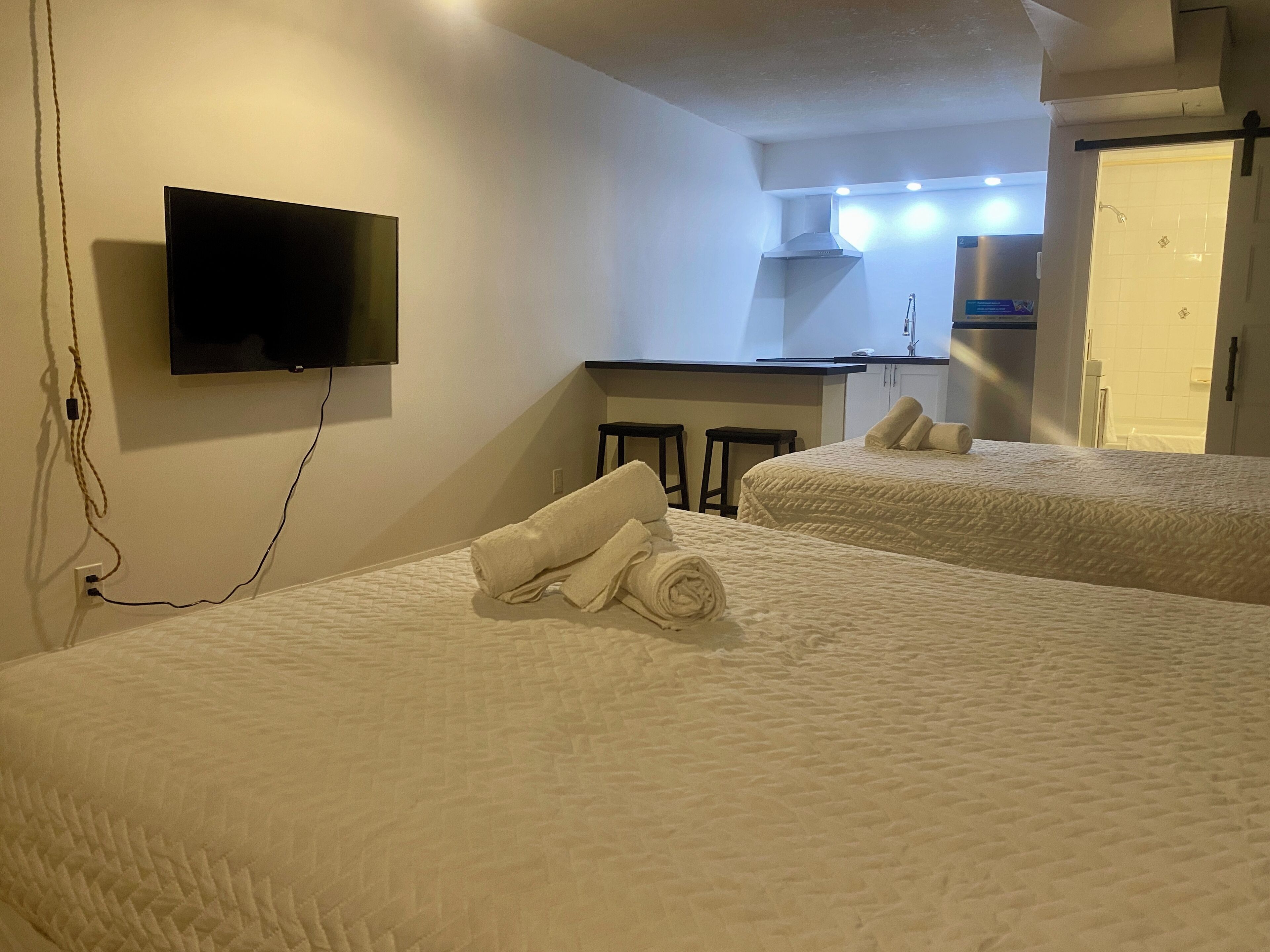 Superior Apartment, 2 Queen Beds, Kitchen | Laptop workspace, free WiFi