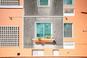 Detalle exterior