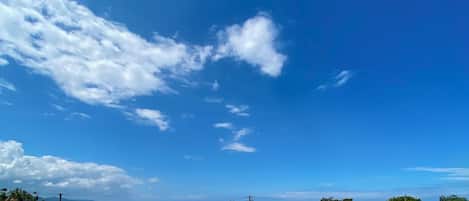 Alberca