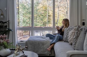 Smart TV, fireplace, books