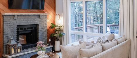 Smart TV, chimenea, libros