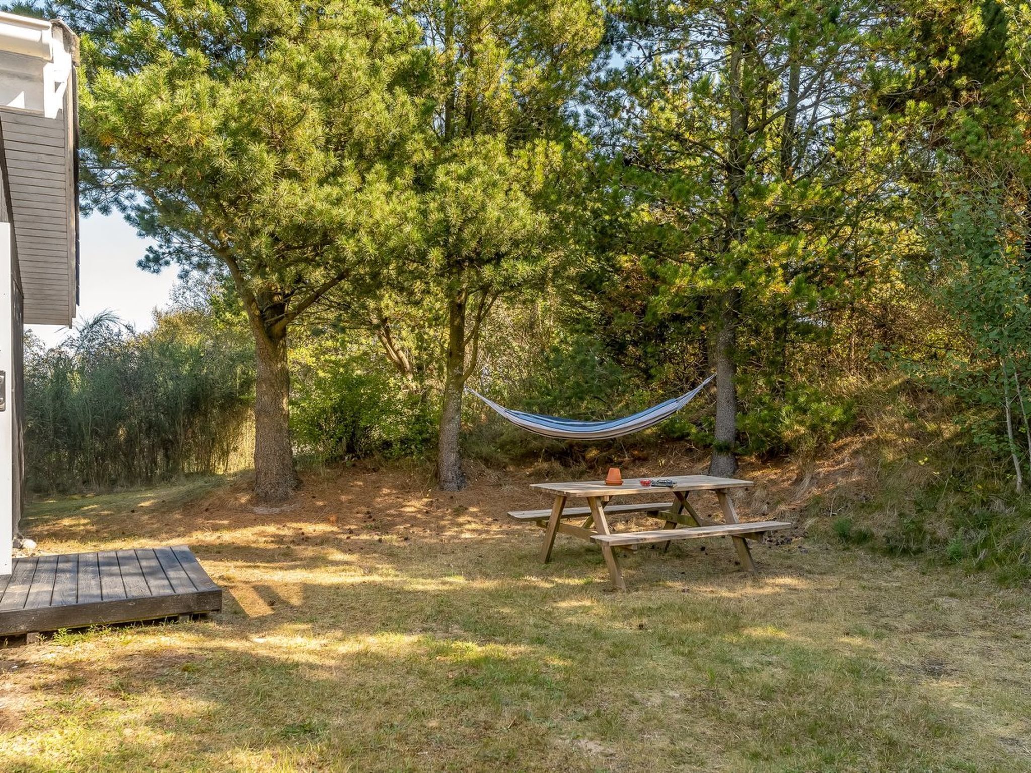 A hammock between two trees, a picnic table, and a wooden deck.