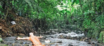 PAPA'S GARDEN - HOMESTAY HA GIANG (NATURE TOUCHES YOU)