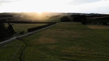 A rural landscape with rolling hills, a road, and scattered sheep grazing.