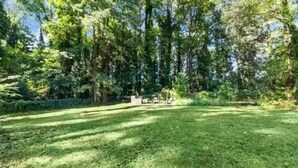 A grassy outdoor area with trees and a small structure. - Cozy Decatur Bungalow with Beautiful Backyard (Decatur)