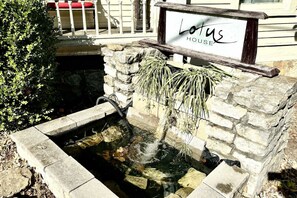 Property grounds - Reflection Suite- The Lotus House (Eureka Springs)