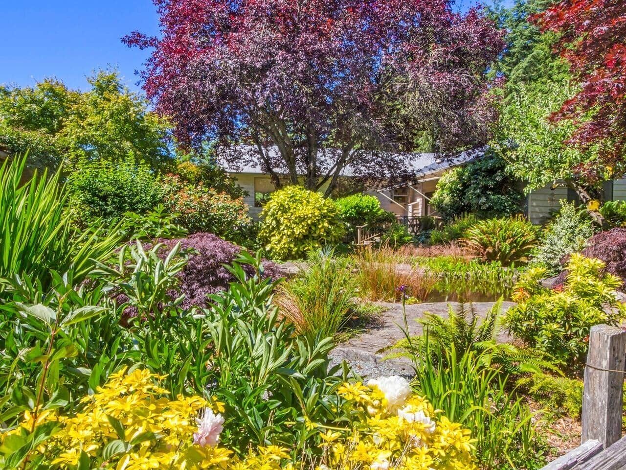A garden with various plants and a small pond.