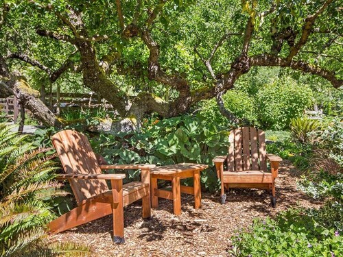 Goldeneye Farm - Orchard & Ponds