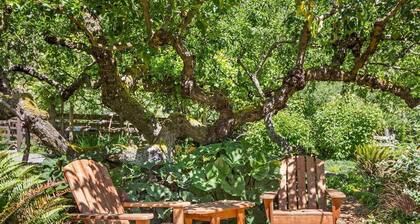 Goldeneye Farm - Orchard & Ponds