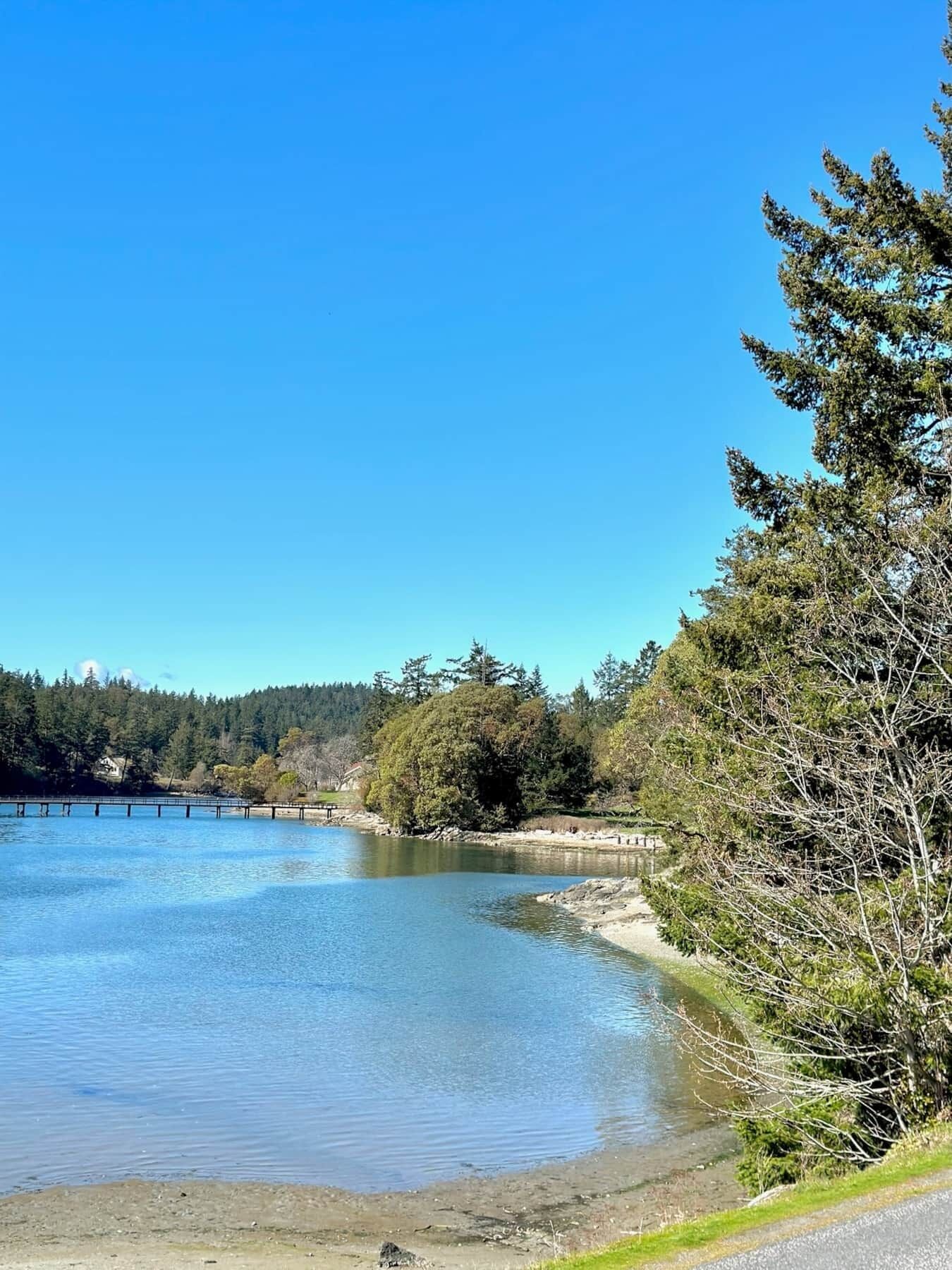 A calm lake with a wooden dock extending into the water, surrounded by dense trees and a clear blue sky.