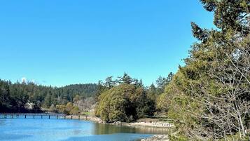 A calm lake with a wooden dock extending into the water, surrounded by dense trees and a clear blue sky.