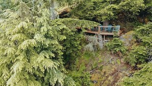 A wooden deck with a blue chair and a table, surrounded by dense green foliage. - INSANE VIEWS! HOT TUB! (San Juan County)