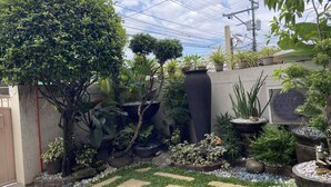A well-maintained garden with various plants and a stone pathway. - Thereseplace, cozy 3-bedroom house in the heart of Davao City (Davao City)