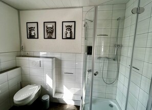 Hair dryer, towels, soap, toilet paper